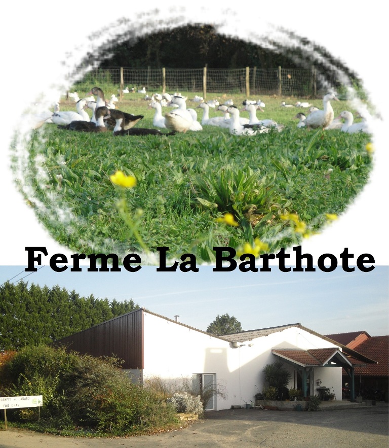 Ferme-La-barthote-Ste-Marie-de-Gosse-Landes-Atlantique-Sud