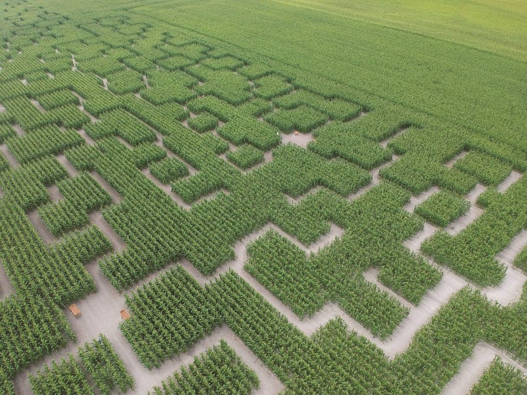 vue-aerienne-3-pop-corn-labyrinthe